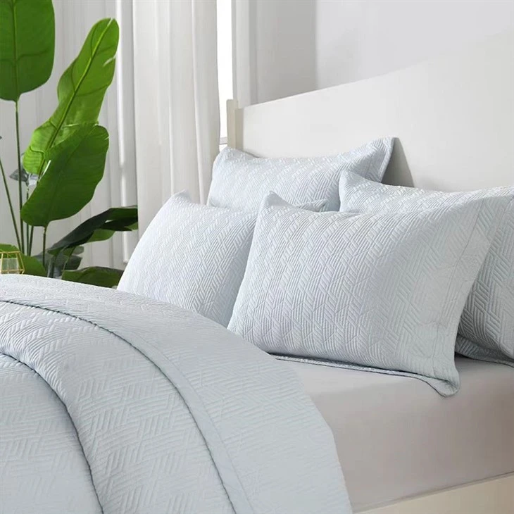Solid Embroidered Cotton Quilt Set-Light Blue