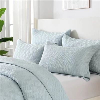 Blue Embroidered Quilt Set